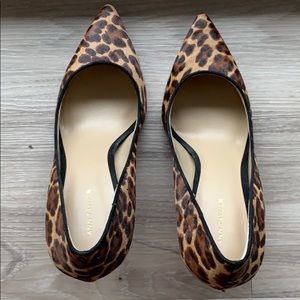 Ann Taylor Mila leopard print haircalf pump